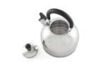 Чайник для плити Hölmer WK-4325-BSSS Euphoria