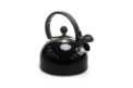 Чайник для плити Hölmer WK-6320-BCSB Cloud