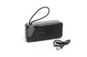 Павербанк Hölmer NRG-02 Cheetah 30000 mAh 22.5W Black